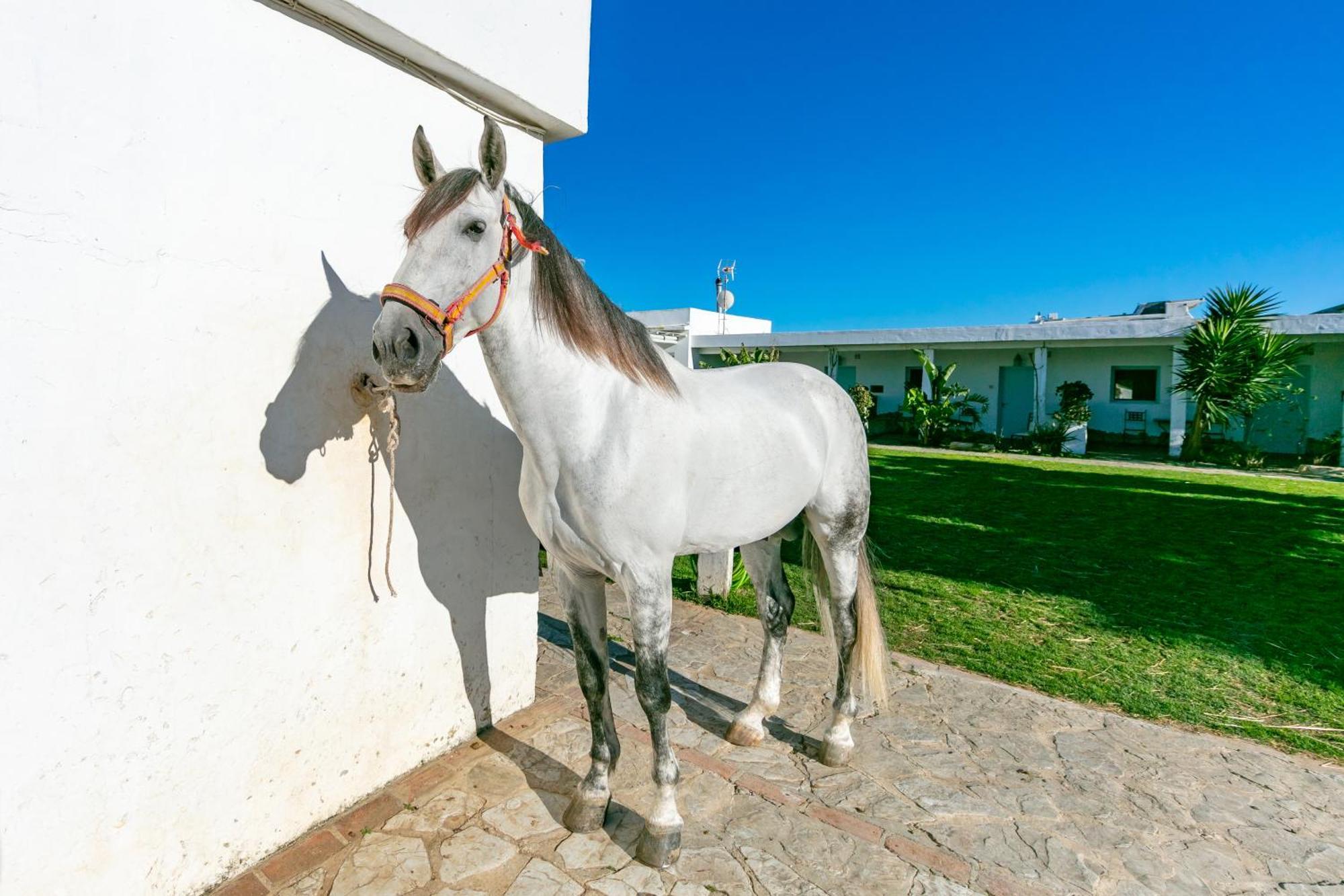 Апартаменты Casa Rural Con Terraza Privada III Тарифа Экстерьер фото